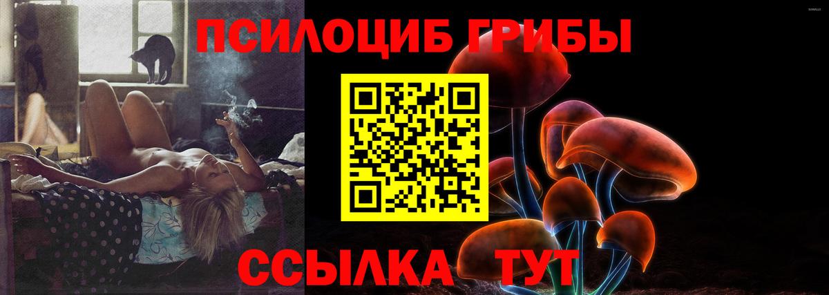 Псилоцибиновые грибы MAGIC MUSHROOMS  Галлюциногенные грибы GOLDEN TEACHER  Вход с VPN  Луга 